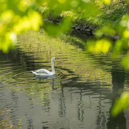 アパート Klagenfurt Frank No1 - With Free Parking, Air Conditioning, Smart-tv & Self Check-in クラーゲンフルト