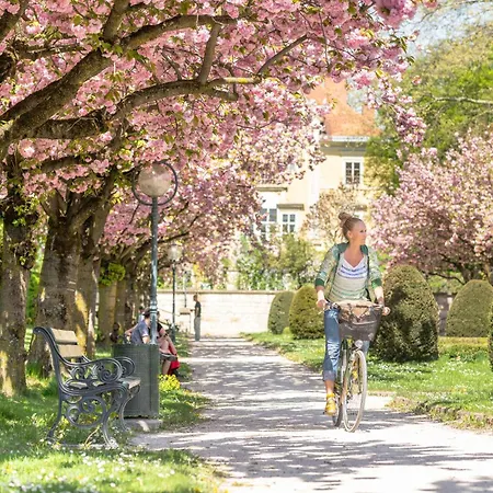 Klagenfurt Frank No1 - With Free Parking, Air Conditioning, Smart-tv & Self Check-in