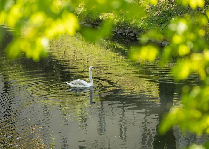 Apartmán Klagenfurt Frank No1 - Free Parking, Air Conditioning, Smart-tv & Self Check-in Klagenfurt am Woerthersee